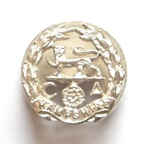 Hampshire Regiment comrades association lapel badge