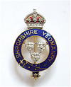 Shropshire Yeomanry diamond regimental sweetheart brooch