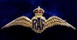 Royal Air Force pilot's wing gilt and enamel RAF sweetheart brooch